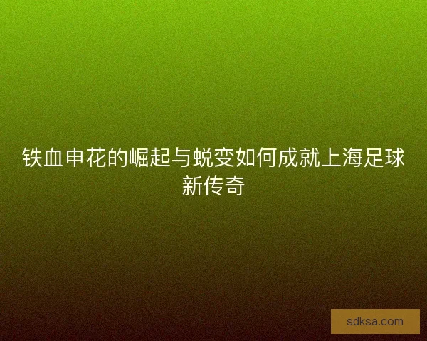 铁血申花的崛起与蜕变如何成就上海足球新传奇